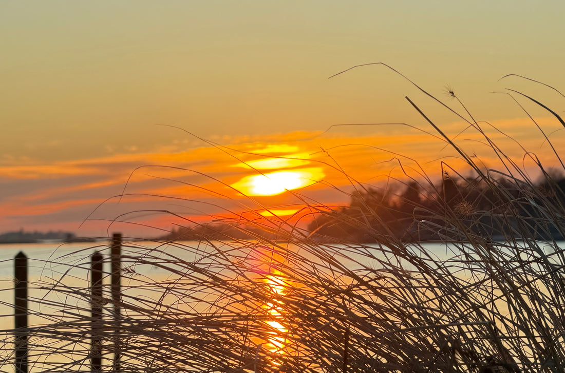 At The Edge of Morning