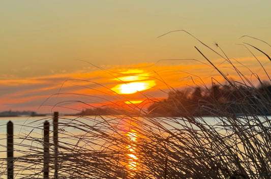 At The Edge of Morning