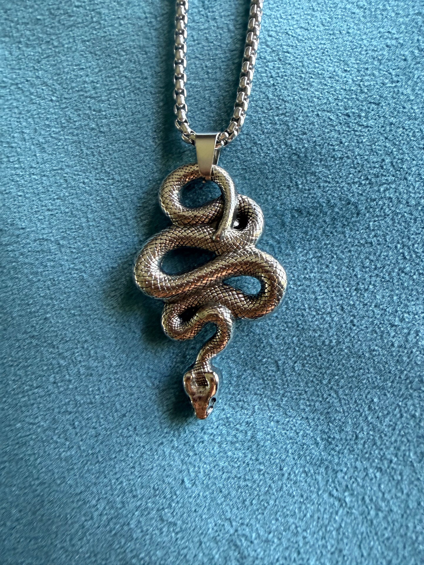 Serpent Pendant Necklace, Stainless Steel Coiled Snake on 22" Chain, Embodied Wisdom and Awakening Talisman | The Moonlit Hollow