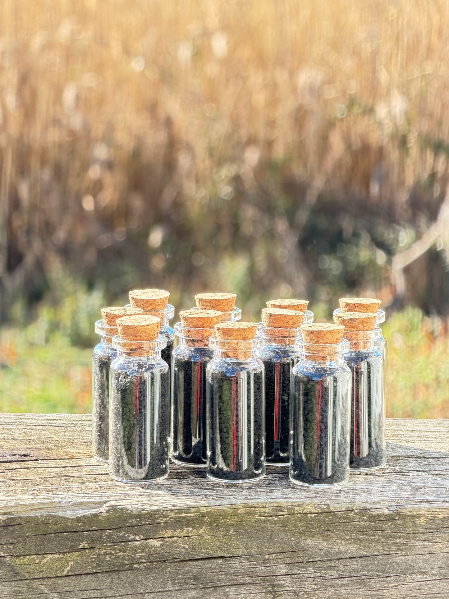 Hawaiian Black Sea Salt Protection Jar • Moonlit Hollow Spell Ingredient