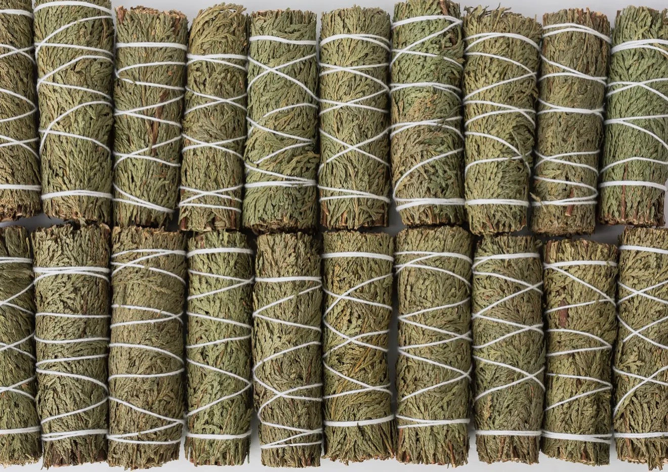 Cedar – Sacred Protection Smoke Bundle