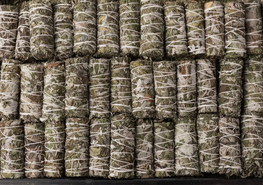 Mugwort – Dream & Intuition Smoke Bundle