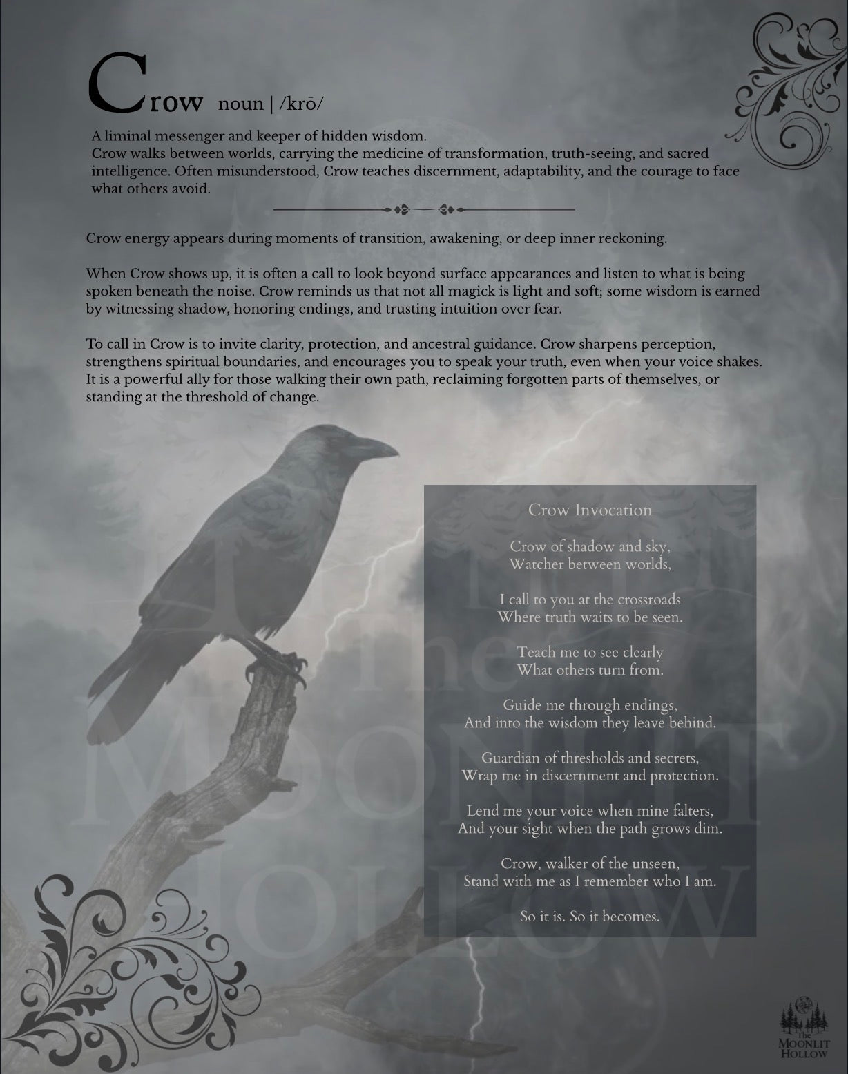 Crow: Animal Messenger Print