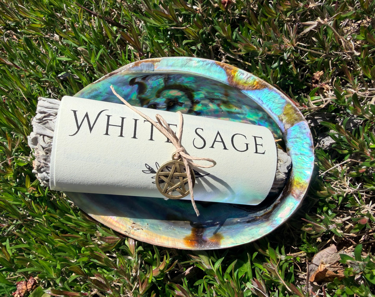 White Sage Smoke Clearing Kit | Abalone Shell, Hand-Wrapped Sage Bundle & Pentagram Charm | The Moonlit Hollow