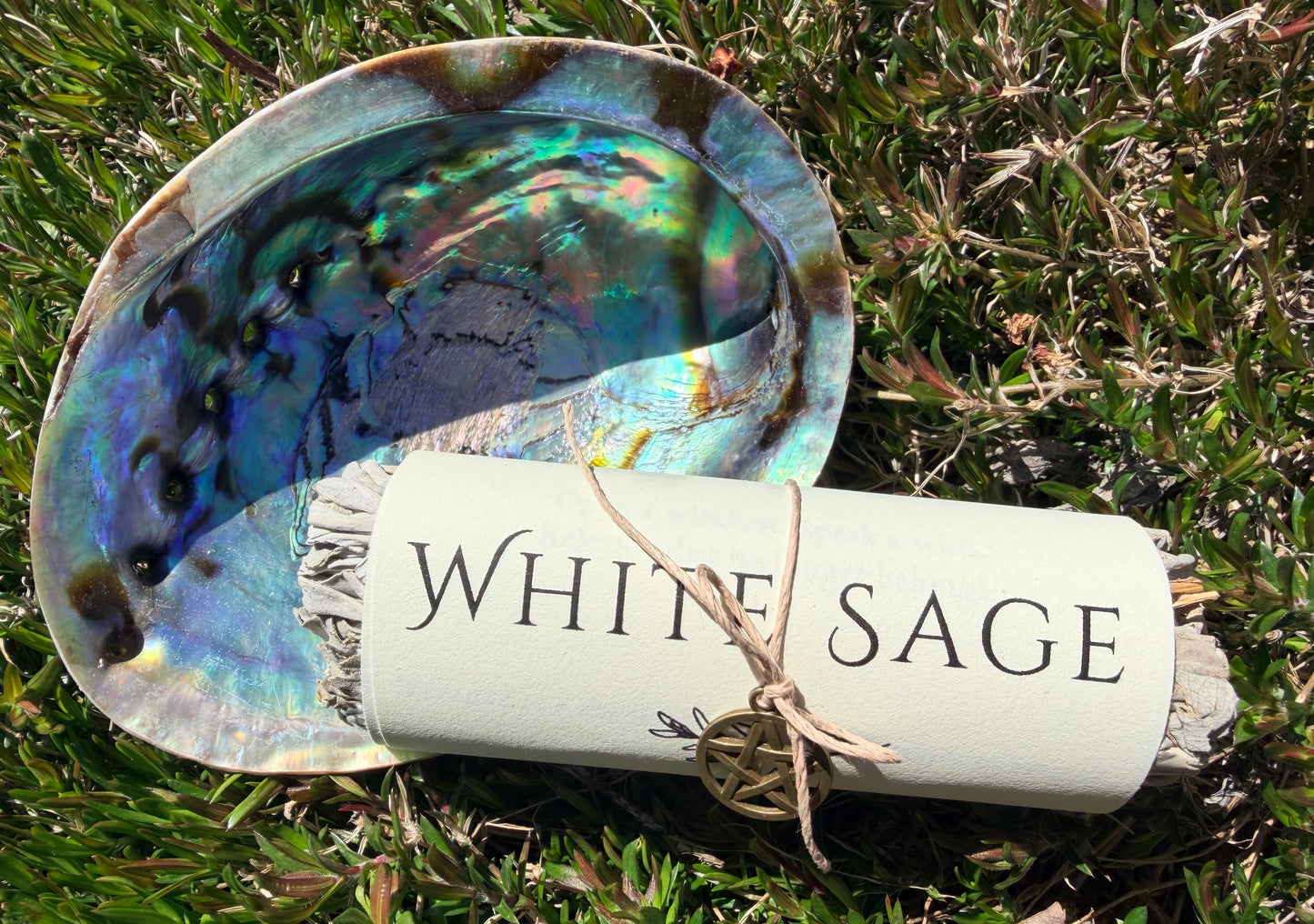White Sage Smoke Clearing Kit | Abalone Shell, Hand-Wrapped Sage Bundle & Pentagram Charm | The Moonlit Hollow